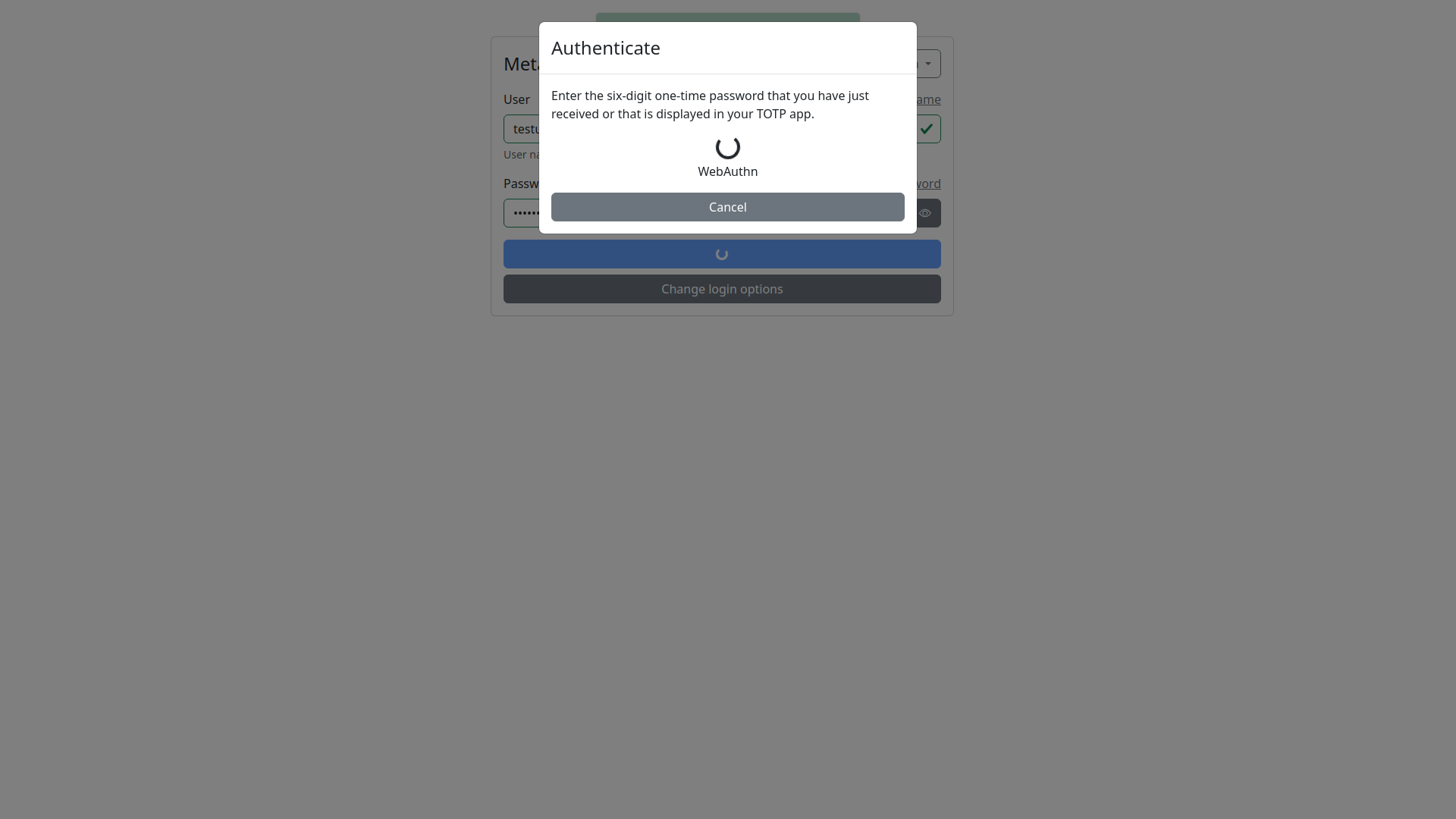 Login WebAuthn